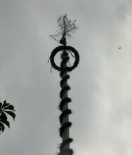 35maibaum.jpg (11647 Byte)