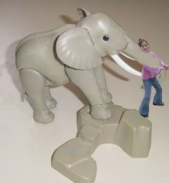 elefant.jpg (8610 Byte)